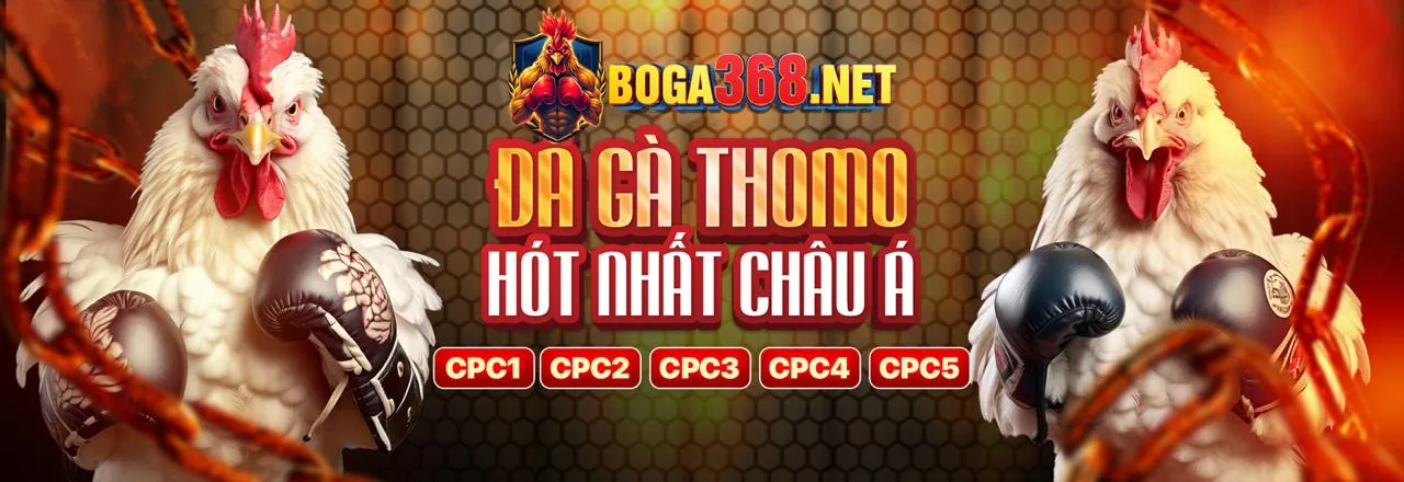 Đá gà trực tuyến F88 Online