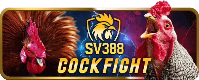 Cá cược bóng rổ F88 Online
